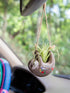 Natural Life Car Decor - Roaming Gypsy Boutique